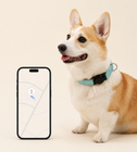 AirTag Dog Collar – Reflective & Adjustable